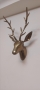 Other, 200 ₪, Хайфа